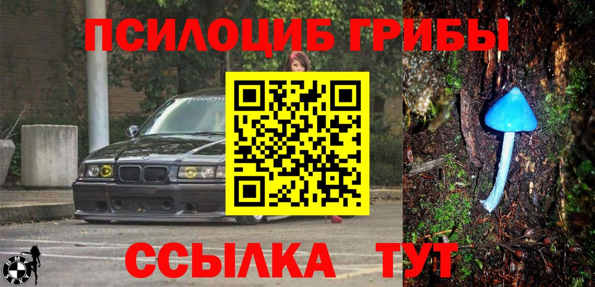 Галлюциногенные грибы прущие грибы Тейково